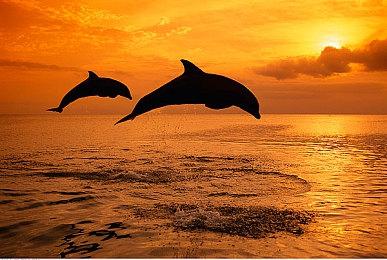 国产沙盒生存游戏《无径之林》Steam页面上线 发售日期待定